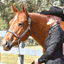 BIG VALLEY QUARTER HORSE ASSOCIATION 27th & 28th October 2018