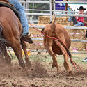 Yarrawonga Rodeo 28th December 2018