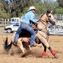 Finley Rodeo 4th January 2019