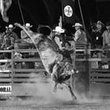 Alexandra Rodeo 12th January 2019