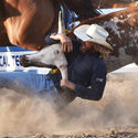 Alexandra Rodeo 12th January 2019