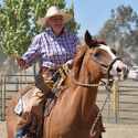 Australian Ranch Horse - Reata @ Merrijig 23rd & 24th February 2019