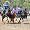 Yarrawonga Rodeo 2nd January 2016