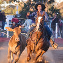 Deniliquin Rodeo 26th March 2016