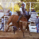 Deniliquin Rodeo 20th April 2019