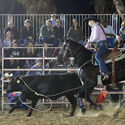 Barooga Rodeo 21st April 2019