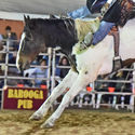 Barooga Rodeo 21st April 2019