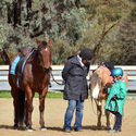 Big Valley QHA Trans Tasman Fund Raiser Clinic & Show 30th June 2019