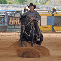 Open Hackamore Reined Cowhorse