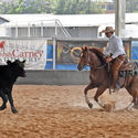 Non Pro Snaffle Bit Cutting