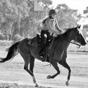 High Country Extreme Cowboy Racing 8th February 2020