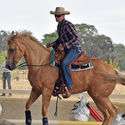 Green Horse