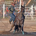 Narrandera Rodeo 22nd February 2020