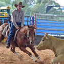 Open Snaffle Bit Cutting