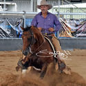 Open Bridle Spectacular - Cutting & Reining