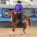 Open Hackamore - Reining