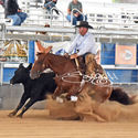 Two Handed Cowhorse - Reining & Fence Work