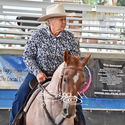 Rookie Boxing - Reining