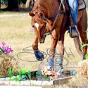 High Country Extreme Cowboy Racing 23rd January 2022