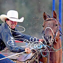 Finley Rodeo 17th April 2022