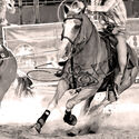 Alexandra Rodeo 14th January 2023