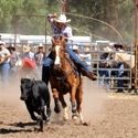 Yarrawonga 29th December 2009