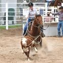 Narrandera 9th January 2010