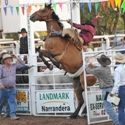 Narrandera 9th January 2010