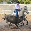 Cobram Campdraft 2nd-4th April 2010