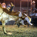 Yarrawonga 28th December 2010