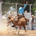 Deniliquin 2nd January 2011