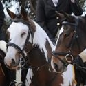 Tocumwal Opening Hunt 14th May 2011