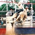 Rodeo