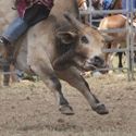 Yarrawonga 28th December 2011