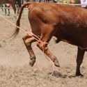 Yarrawonga 28th December 2011