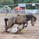 Narrandera 25th February 2012