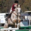 Yarrawonga Pony Club