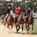 Tocumwal Closing Hunt 8th September 2012