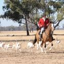 Tocumwal Opening Hunt May 2009