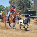 Finley Rodeo 6th January 2017