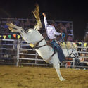 Finley Rodeo 6th January 2017