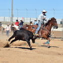 Heartland Raceway Rodeo @ Moama 28th January 2017