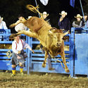 Ballarat Rodeo 11th February 2017