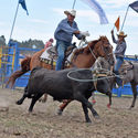 Ballarat Rodeo 11th February 2017