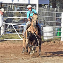Narrandera Rodeo 25th February 2017