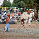 Narrandera Rodeo 25th February 2017