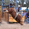 Chiltern Rodeo 12th March 2017