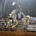 Tocumwal Rodeo 16th April 2017