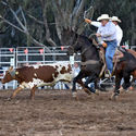 Tocumwal Rodeo 16th April 2017