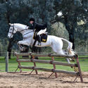 Northern Victorian Hunter Show @ Oxley Vic 23rd July 2017